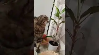Хозяйка в доме!!!