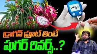 డ్రాగన్ ఫ్రూట్ తింటే షుగర్ రివర్స్..? | Dragon Fruit For Diabetes  |SumanTV Madhuri | Dr Chetan Raj