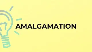 What is the meaning of the word AMALGAMATION?