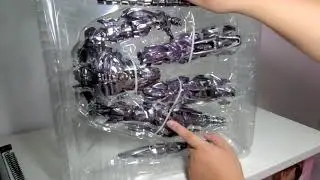 UNBOX ZS-01 - Guardian of the universe ( shockwave )