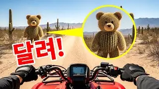 사막에서 테디베어를 만난다면, 천천히 물러나세요