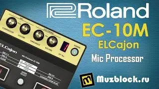 Обзор Roland EC-10M ELCajon Mic Processor