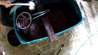 Maggies Reserve  Sonoma Valley 135 year old Zinfandel Wine Day 10