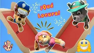 ¡LOS TOBOGANES MÁS DIVERTIDOS DE MUNDO! Paw Patrol