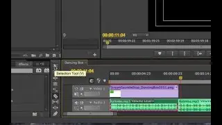 Flash Video Production Workflow 03