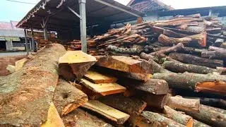 Stunning! Dozens of cubic meters of wood waste were completely sawed.