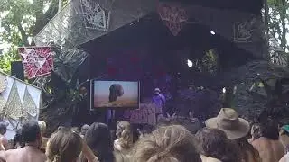 Paul Stamets Psilocybin Presentation. | Envision Festival 2020.