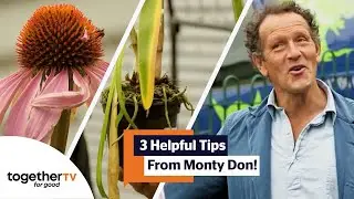 How To Plant a Big Tree, Create a Level Pond & More Tips From Monty Don! | Big Dreams, Small Spaces