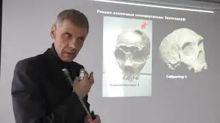 Почему неандертальцы не создали свою цивилизацию? Александр Белов 2 04 2022 г.