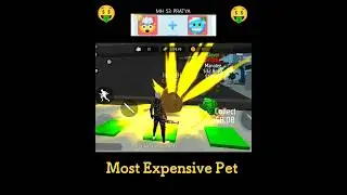 New Green Most Expensive Pet  😱💥 Steal The Pet Winter Update 💯| #freefire #stealpet #short