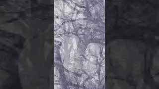 Tree art Noise music fractals #creepyfun