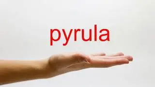 How to Pronounce pyrula - American English