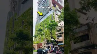 Why are No AC in Mukesh Ambani's Home?