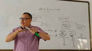 3 Cellular components of the nervous system