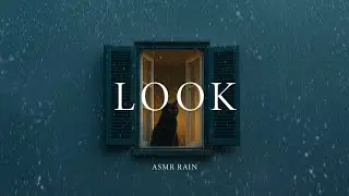 ASMR Rain &ndash; Cozy Window Rain Ambience With a Black Cat (For Deep Sleep & Insomnia Relief)