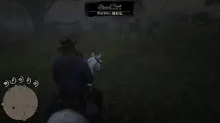 Read Dead Redemption 2