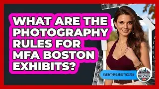 What Are The Photography Rules For MFA Boston Exhibits? - Everything About Boston