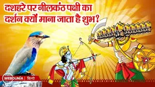 Dussehra 2025: दशहरे पर नीलकंठ पक्षी का दर्शन हो जाना क्यों माना जाता है सबसे शुभ?