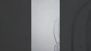 Graphics Owl