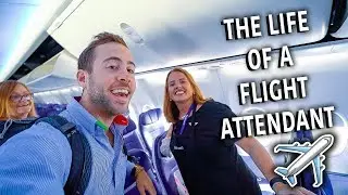 FLIGHT ATTENDANT TRAINING TIPS FROM A NEW FA | THE LIFE OF A FLIGHT ATTENDANT Ep. 54