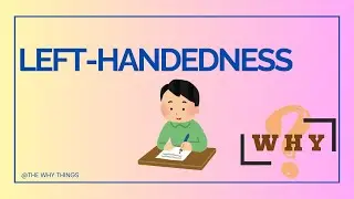 Why Are We Left-Handed? The Hidden Secret of Our Brain!