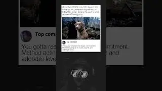 Dog Actor Delays Movie by 500 Days