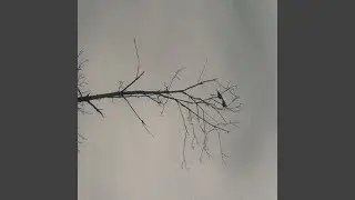 Flash Flooding