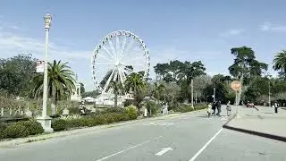My Favorite Activities in Golden Gate Park - Music Concourse