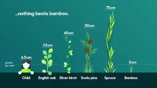 What's the world's fastest growing plant?