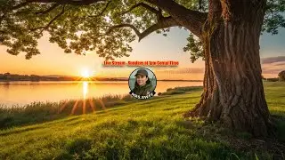 Welcome to Mrs.Swff. Live stream fishing
