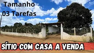 SÍTIO COM CASA A VENDA MUITAS FRUTEIRAS 03 TAREFAS BOA PARA CRIAR E PLANTAR COM AGUA MINERAL #sitio