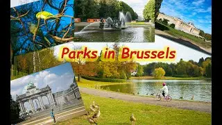 Parks & gardens in Brussels II Tervuren II Jubel Park II Josaphat Park II Floating Feathers