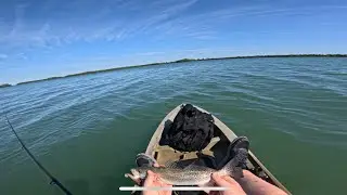 First time fishing the mangroves!                                              