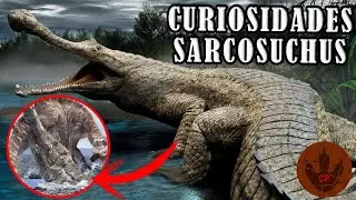 CURIOSIDADES DEL SARCOSUCHUS