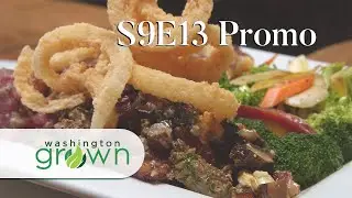 Beer | Promo | Washington Grown