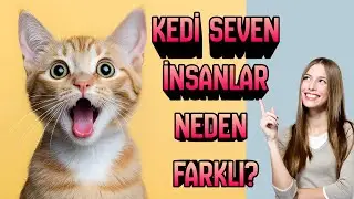 Kedileri Seven İnsanlar Neden Daha Farklıdır? Bilim Şaşırtıyor | Kedi İnsanlarının Psikolojisi