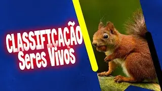 A Classificação dos Seres Vivos || Ciências Gerais 06