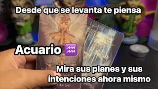 ACUARIO| SE LEVANTA A MEDIA NOCHE PENSANDO EN USTED Y EN LO SUCEDIDO-ASÍ SERÁ EL 2026 en el amor 