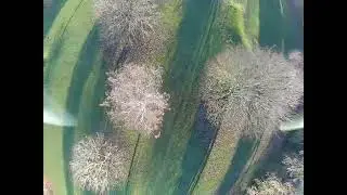 Treestyle #fpv @Gemfanhobby @Glassy93Fpv 