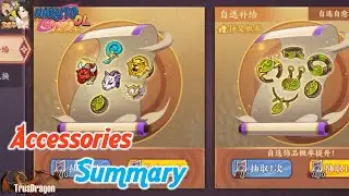 Jewelry or Accessories System Summary - 2025