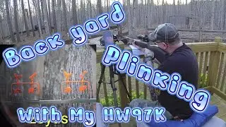BackYard Plinking With My HW97K!! #weihrauch #weihrauchhw97k