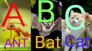 A for Ant B for Bat।। A to z animal video with animal sound।।A থেকে z পর্যন্ত পশুর নাম