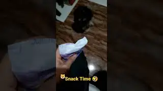 Snack Time! 😋🐶