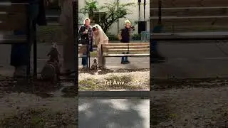 City Center, Tel Aviv-Yafo, Israel | ישראל תל אביב