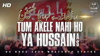 Zamana Tumhara Ya Hussain | Nadeem Sarwar | Tum Akele Nahi Ho | Noha 2025 | Asad e Yazdaan Official 