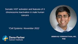 Research: Sex bias in cancer | Dana-Farber Cancer Institute