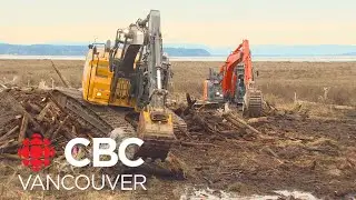 Restoring Boundary Bay's tidal marsh