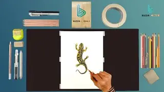 How to Draw Bruni the Fire Salamander |  Easy Fire Salamanders Drawing |