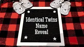 Identical Twins Name Reveal | IVF Journey