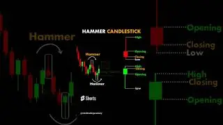 Most profitable Hammer candlestick patterns #shorts #trading